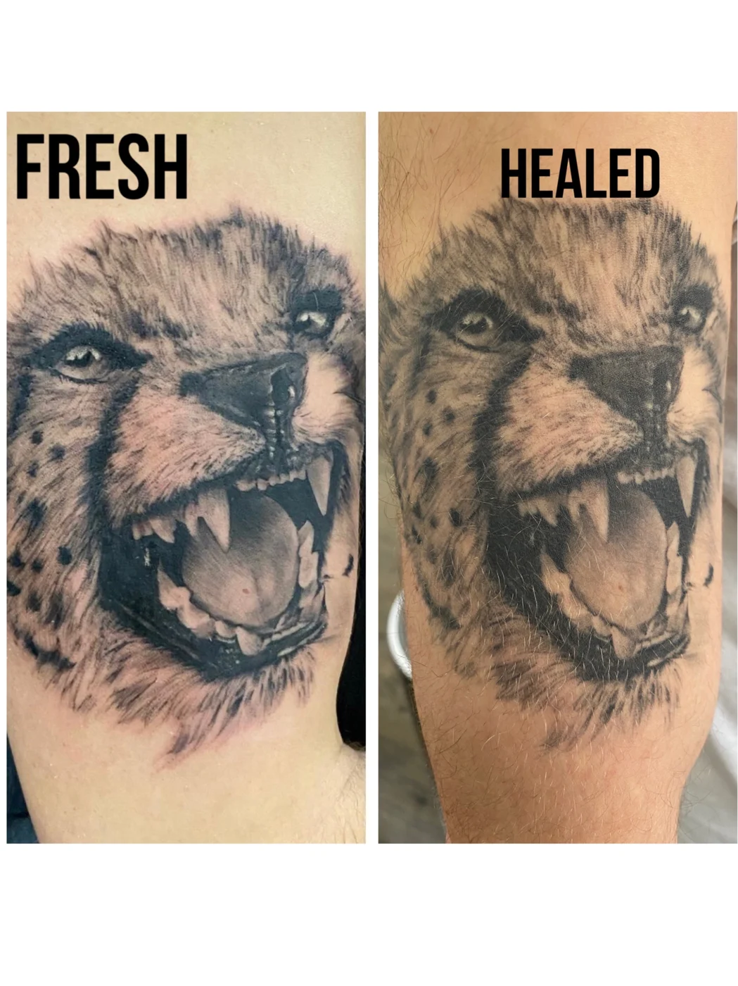 Tattoo artwork 7 by Ray Palfi